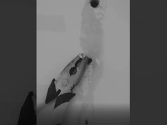 مانع تسرب السيليكون